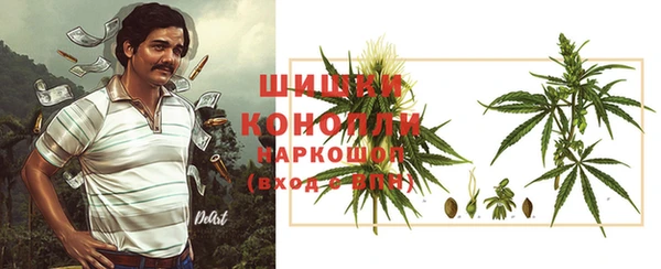 стаф Зерноград