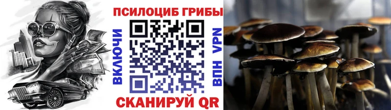 Галлюциногенные грибы Magic Shrooms  наркошоп  Ершов 